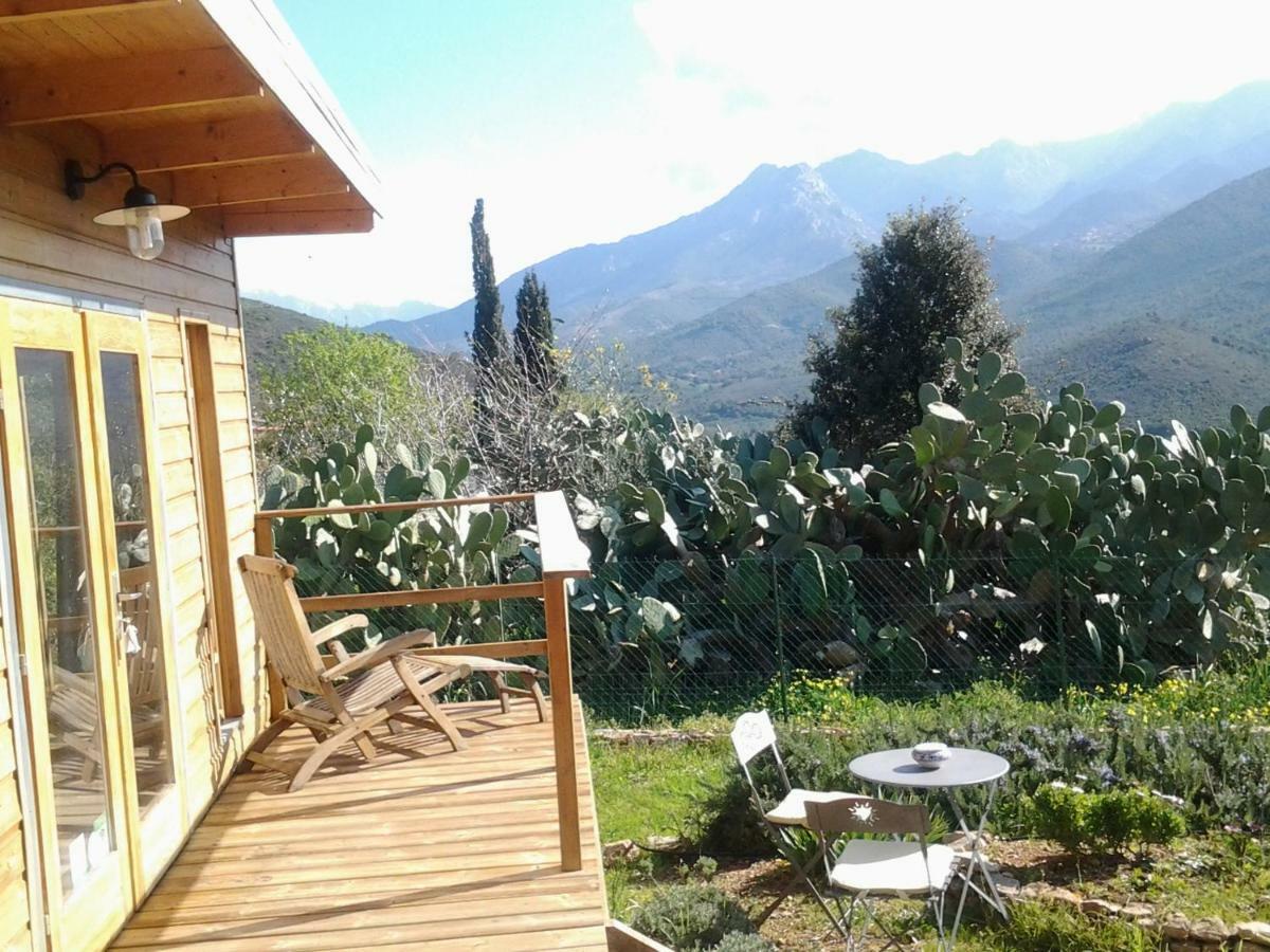 Mare E Legnu Bed & Breakfast Peri Luaran gambar